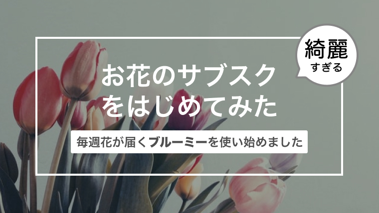 お花のサブスクブルーミーをはじめてみた！〜毎週ポストに花が届く生活〜