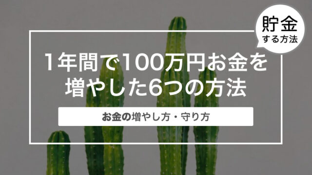 1年間で100万円お金を増やした6つの方法｜お金の増やし方・守り方