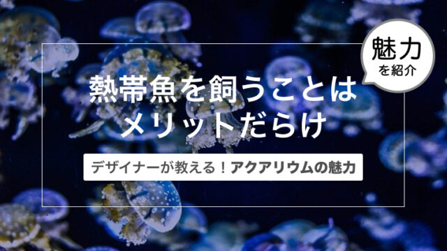 デザイナーが教える！アクアリウムの魅力〜熱帯魚を飼うことはメリットだらけ〜